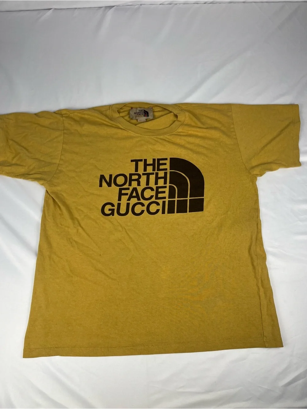The North Face gucci north